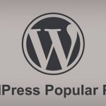 wordpress popular posts 150x150 - افزونه فارسی سئو تصاویر pb seo friendly images