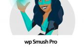 افزونه فشرده ساز تصاویر وردپرس اسموش | WP Smush Pro